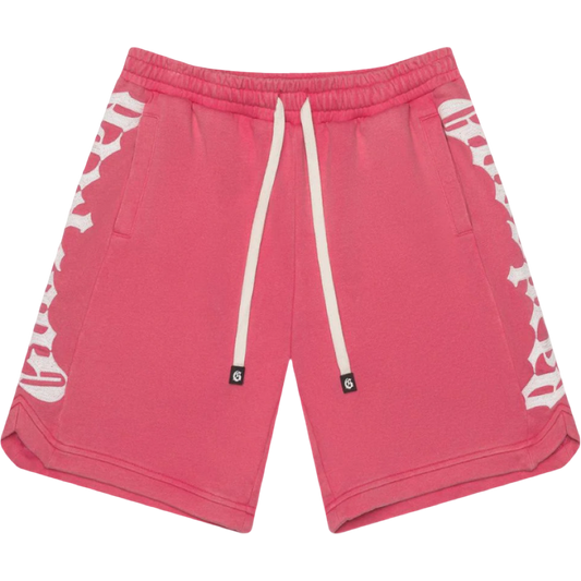 GodSpeed Courtside Shorts (Pink)