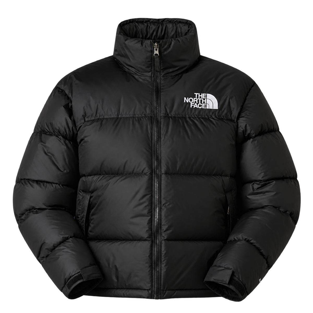 North Face Men's 1996 Retro Nuptse 'Black'